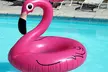 Flamingo-Luftmatratze in Pink - Second Medium