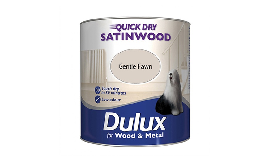 Image 4: Dulux Paint