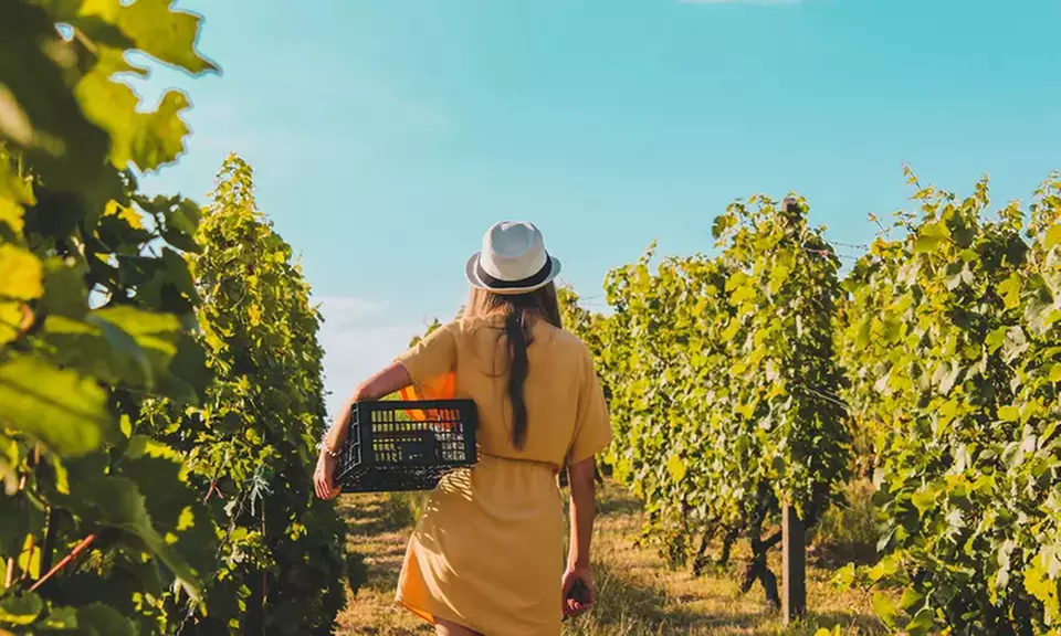 Capriolo: camera, colazione, visita alla cantina e degustazione