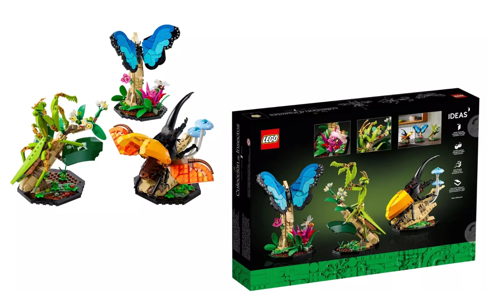 LEGO Ideas The Insect Collection 21342 - Primary Image