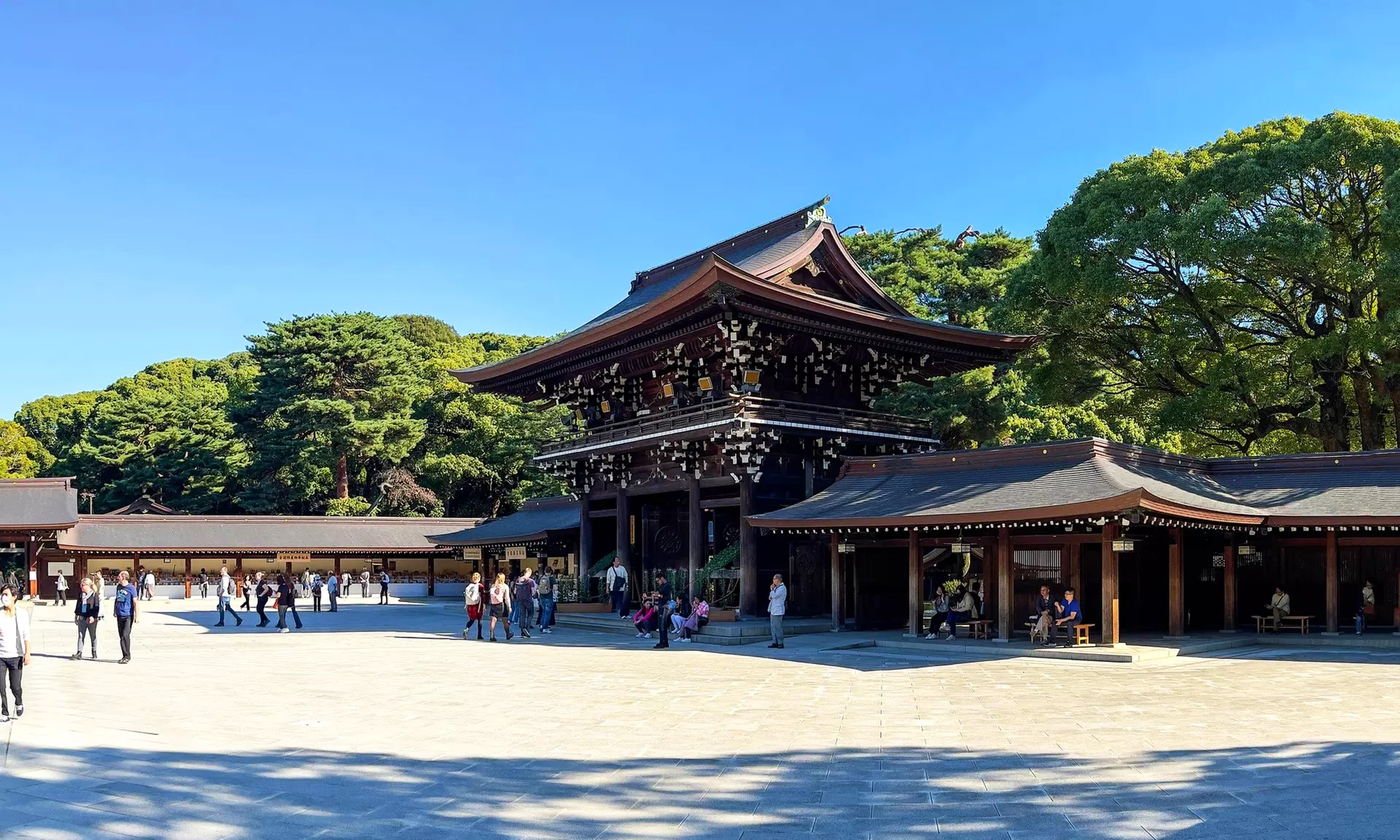 ✈ Tokyo: 8-Day Getaway with Hotel & Flights from Worldee