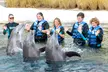 GetOutPass North Florida: Year-round Access to Top Attractions and Unlimited Fun (Save 50%) - Second Medium