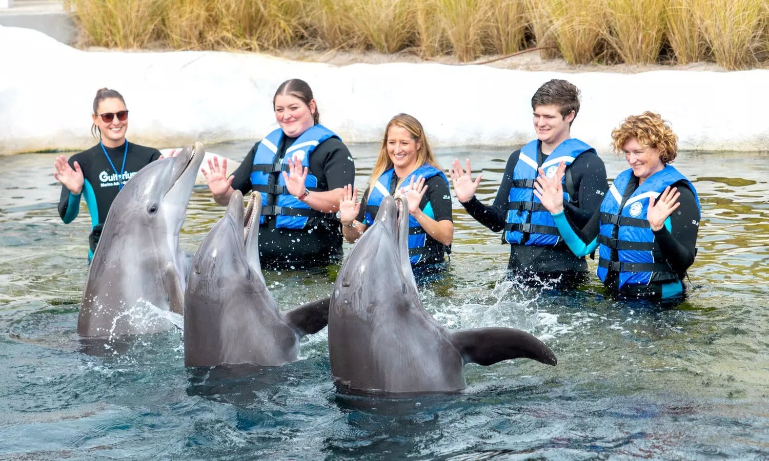 Year-Round Thrills at North Florida’s Top Attractions