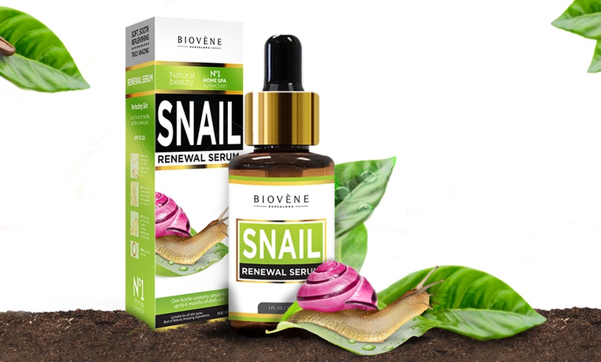 Image 2: Snail Skin Serum