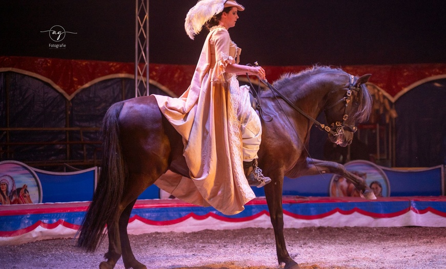 Image 6: Sitzplatz-Ticket für "Traumwelten – Die Pferdeshow" im Dezember