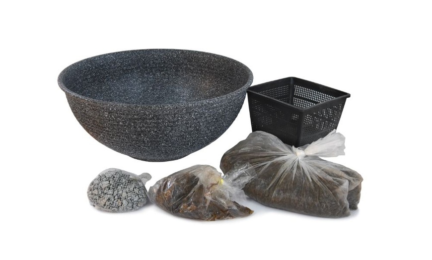 Image 2: Fragrant Patio Pond Plant Kit with Various Pot Options