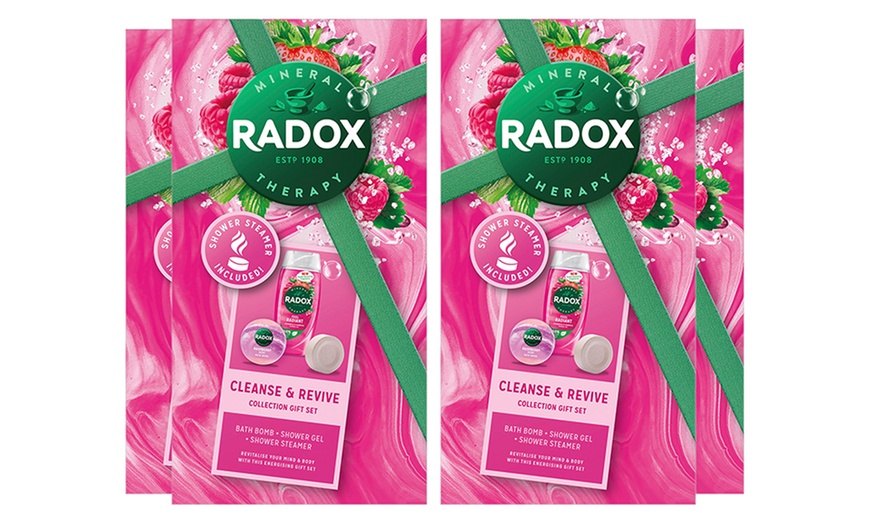 Image 4: Radox Cleanse & Revive Gift Set