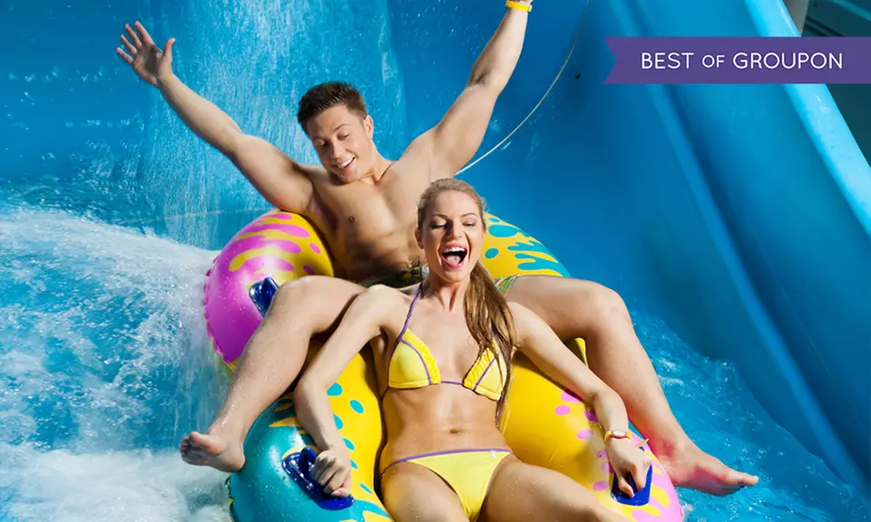 Całodzienny bilet wstępu do parku wodnego i kompleksu łaźni od 69,99 zł w Aquaparku Druskininkai na Litwie (do -33%) - Primary Image