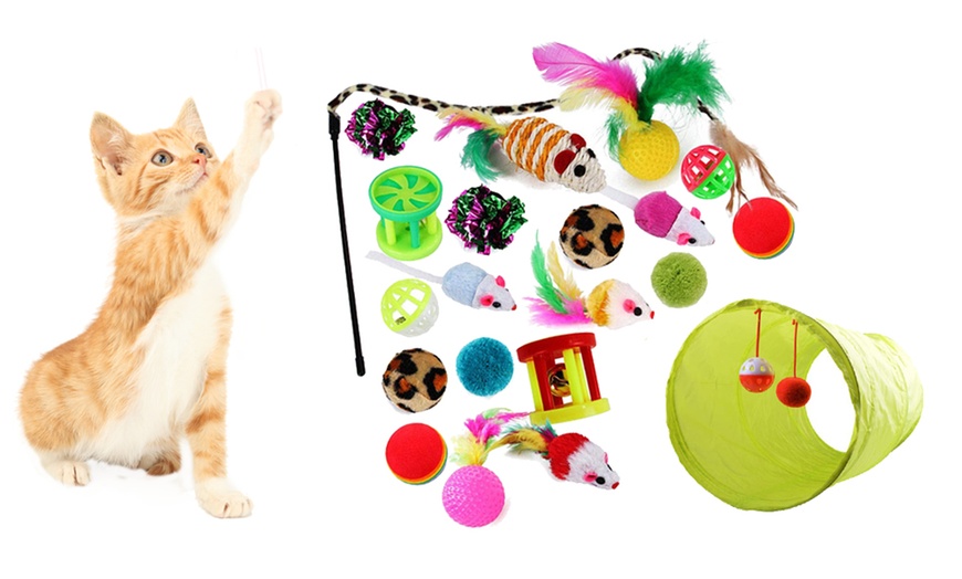 Image 1: 21-Piece Cat Toy Pet Set