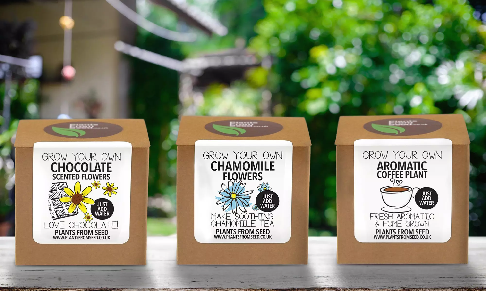 One or Two Grow Your Own Plant Kits: Chocolate Flowers, Arabica Coffee or Camomile Tea - Primary Image