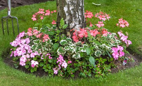 Tree Shade Pre-Seeded Flower Mat