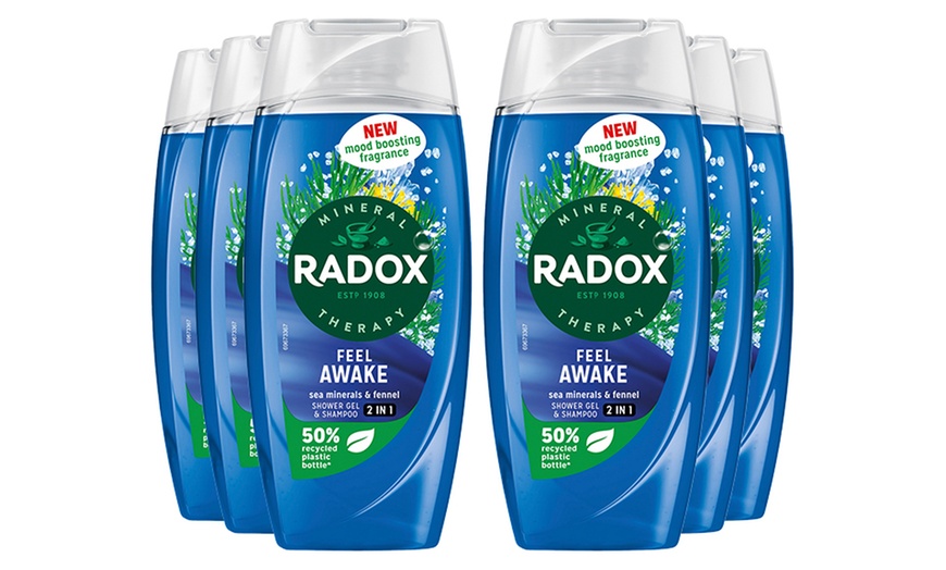 Image 23: Radox Mineral Therapy Shower Gel with Mood-Boosting Fragrance