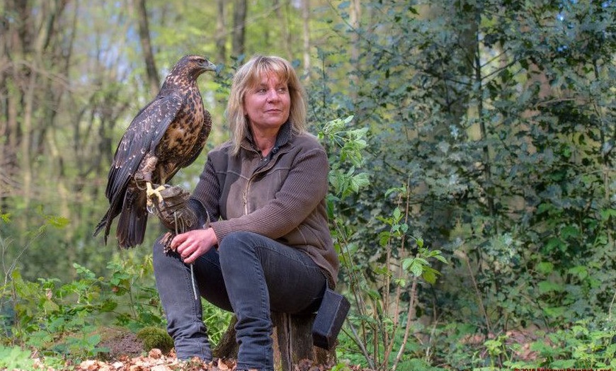 Image 9: Waldtour mit Greifvogel oder Eule