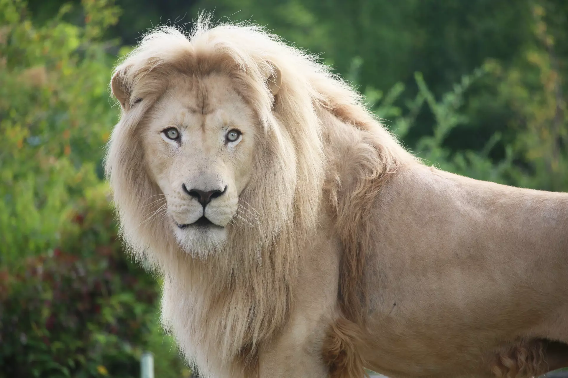 One- or Two-Year Membership at Toronto Zoo (Up to 20% Off). 16 Options Available. - Primary Image