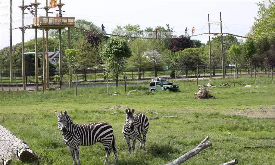 Aerial Adventure Course Packages with Zoo Admission at Toledo Zoo Aerial Adventure Course (Up to 30% Off) - Primary Image