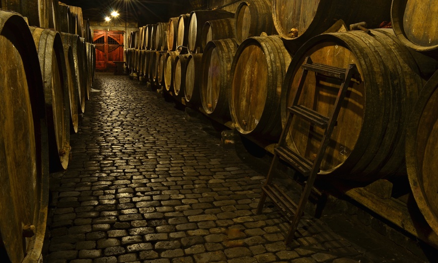 Image 7: Visita de bodega con cata de vino