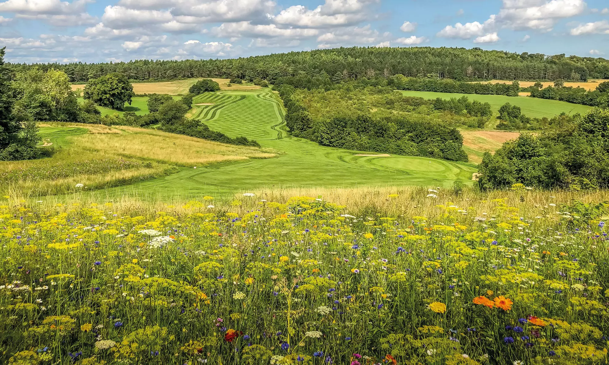 Kombi-Golf-Mitgliedschaft 2026 & 2027 opt. mit 6x Greenfee