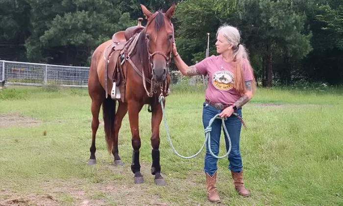 Up to 20% Off on Horse Back Riding at Zabcik Ranch LLC