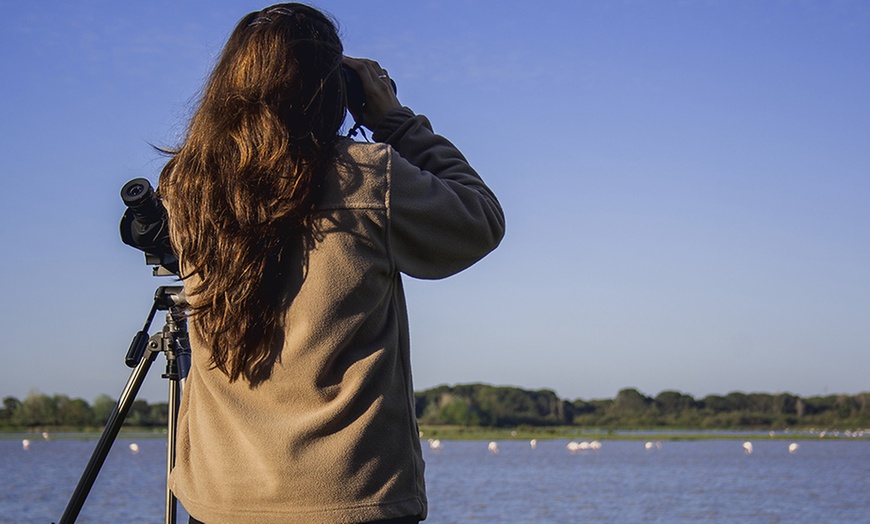 Image 8: Visita al Parque Nacional Doñana