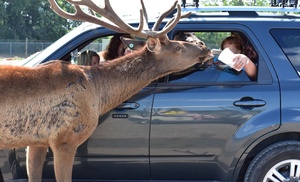 Up to 48% Off Admission at African Safari Wildlife Park - Ohio