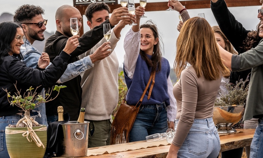 Image 20: Menú de comida con visita a bodega y cata de vinos para 1 o 2 personas