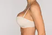 Plus-Size Padded Strapless Convertible Bras (6-Pack) - Second Medium