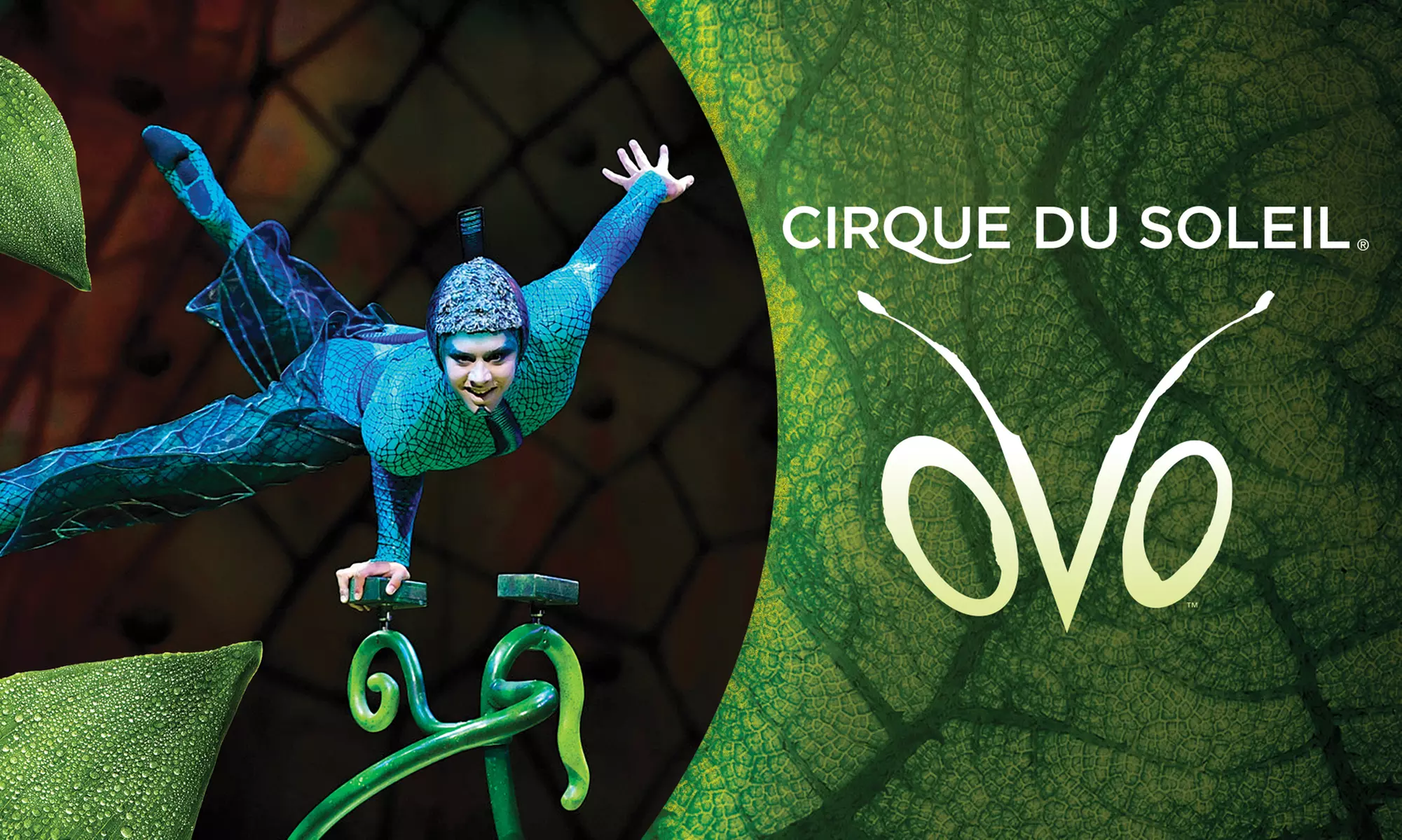 Cirque Week: Cirque du Soleil: Ovo (September 8-11) - Primary Image