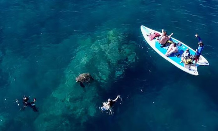Discover Lahaina Turtle Town with Sea Scooters and Photos