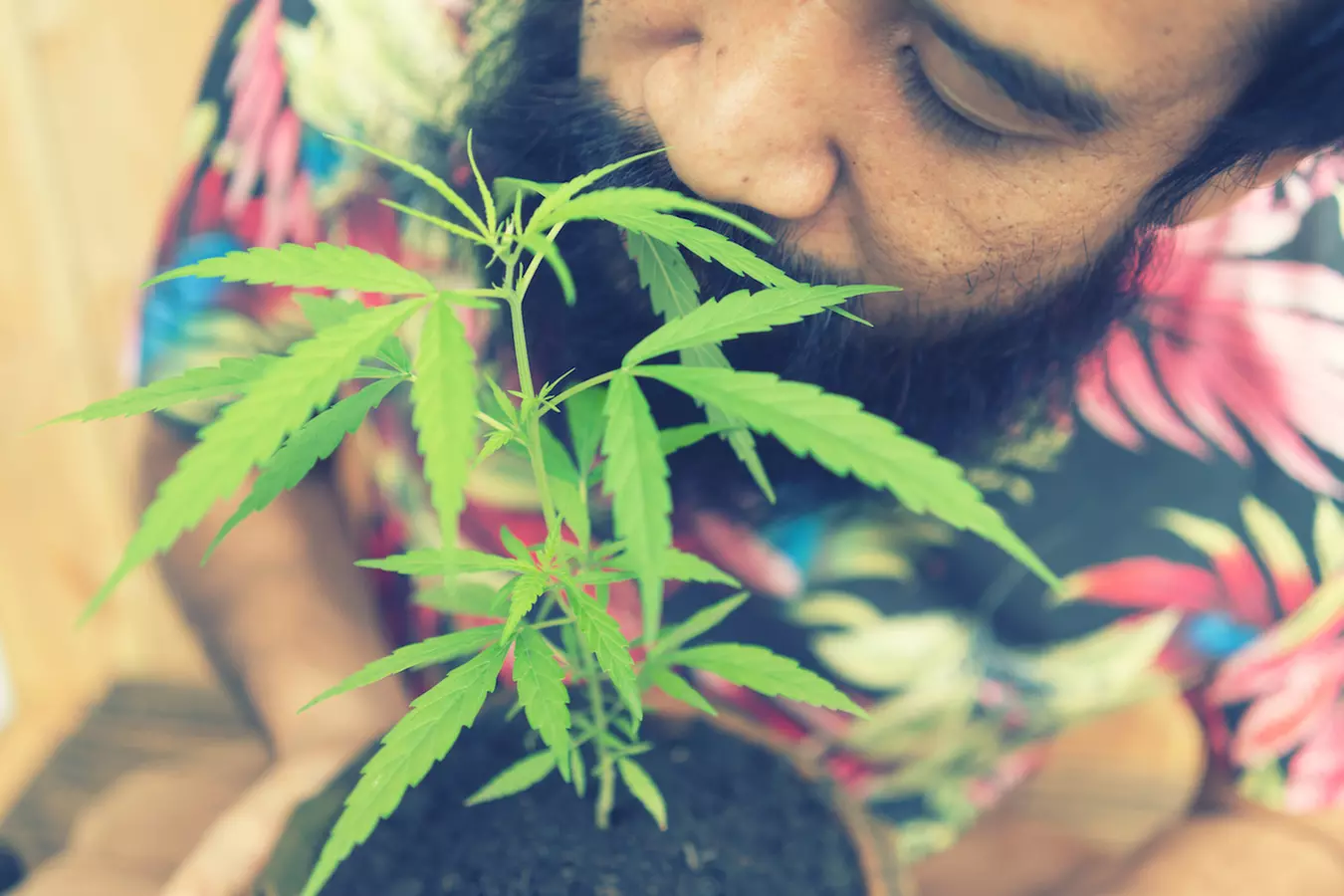 Single-Day Admission for One, Two, or Four on June 22–23 to Hempfest Cannabis Expo (Up to 50% Off) - Primary Image