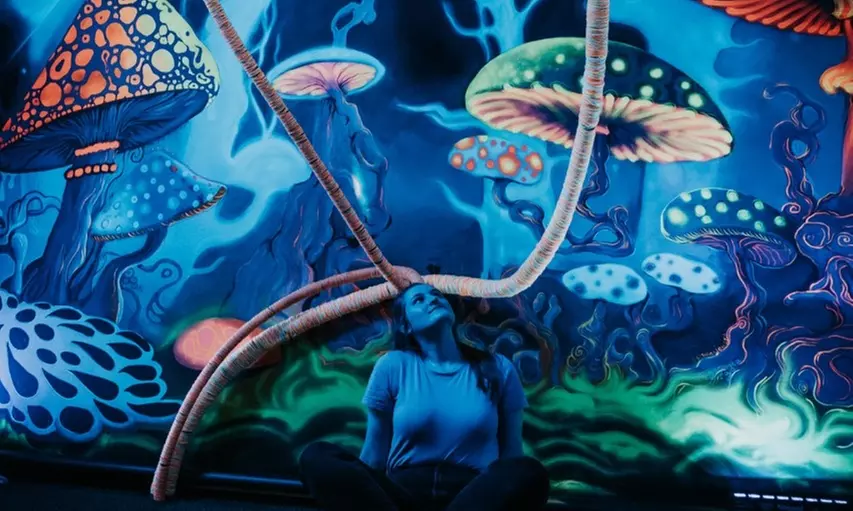 Magia i emocje: Bilety do Muzeum Iluzji Krzywy Domek i Baszty Tajemnic