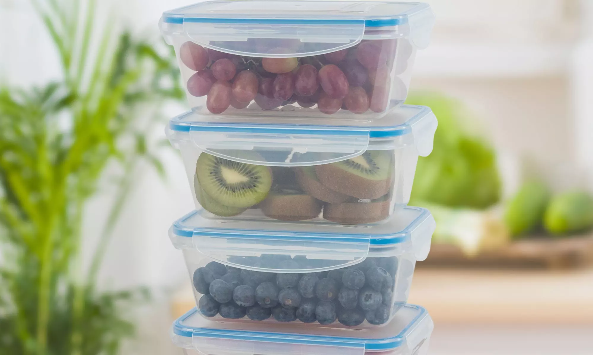 Bis zu 14-teiliges Set Classbach Aufbewahrungsboxen