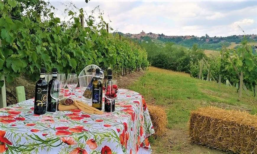 Image 8: Degustazione vini, salumi e formaggi da Azienda agricola Paoletti