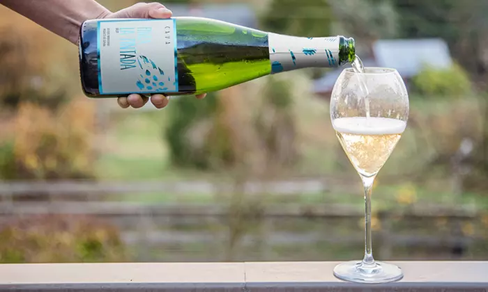 Three, Six, 12, or 15 Bottles of Finca la Pintada Sparkling Wine from Splash Wines (Up to 75% Off) - Image 3