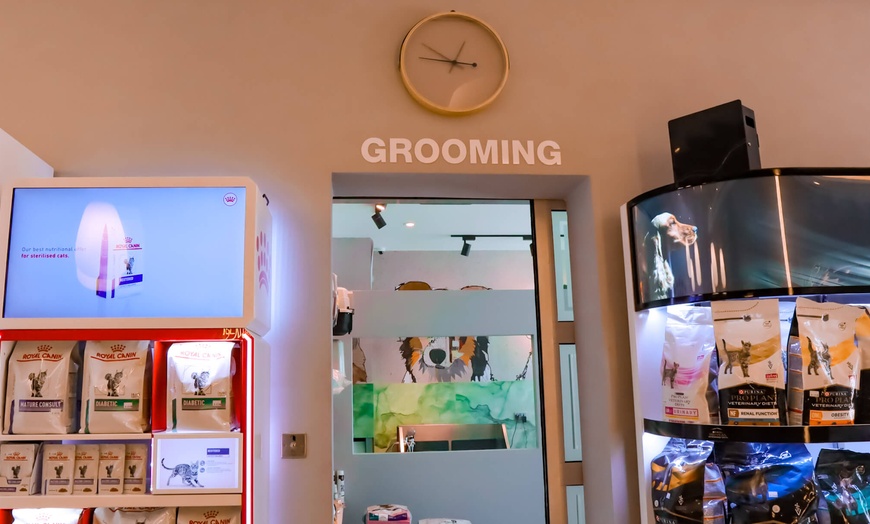 Image 13: Dog / Cat Grooming from Best Veterinary Clinic in the UAE Award Winner