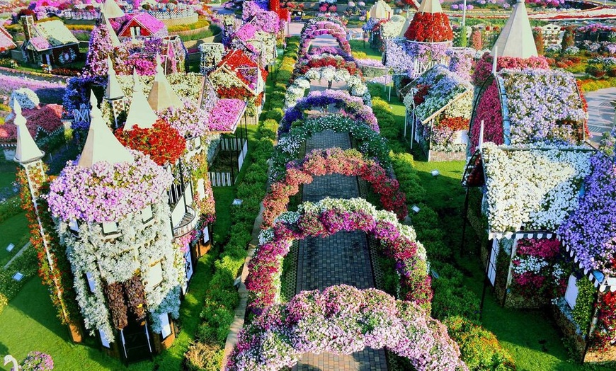 Image 2: Miracle Garden & Global Village Entry from Ultimate Experience Tourism