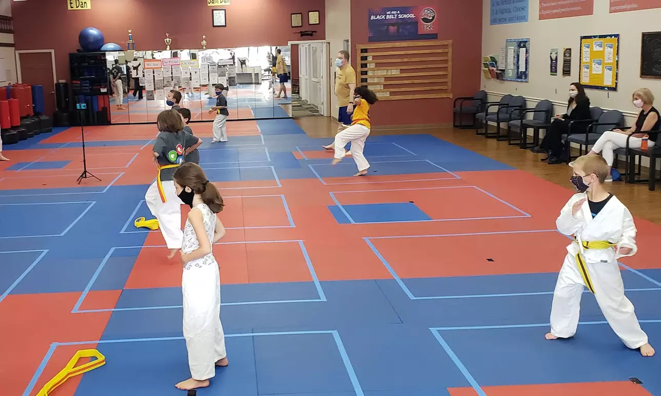 Up to 49% Off on Martial Arts Training at True Balance Karate Institute - Primary Image