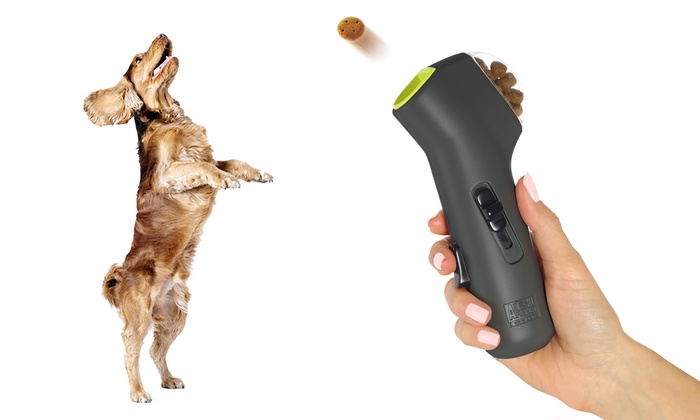 automatic dog treat launcher