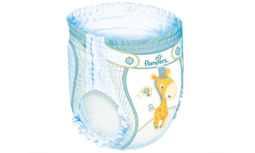 Image 10: Couches-culottes Pampers Baby Dry