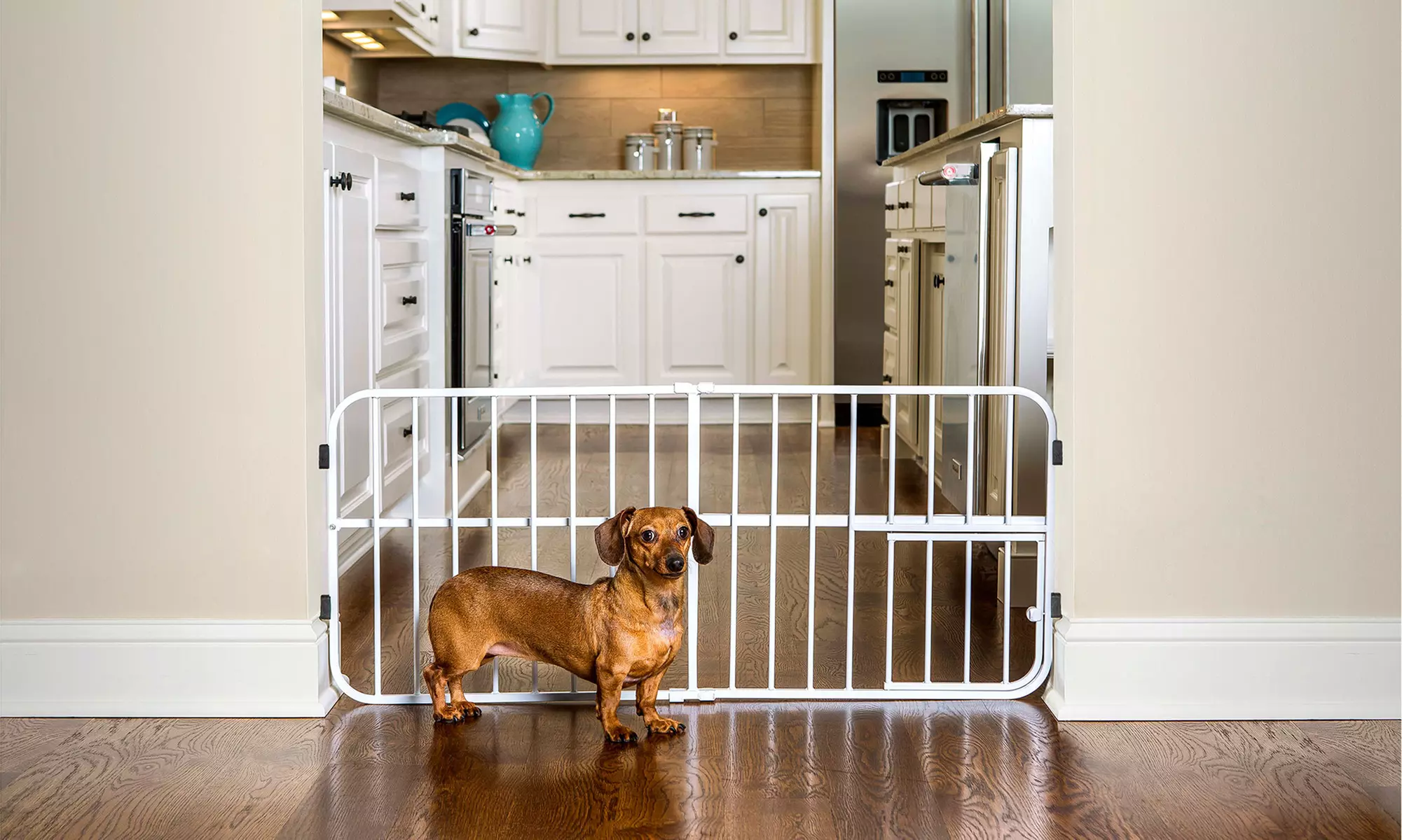 Carlson Lil' Tuffy Expandable Gate with Door for Pets - Primary Image