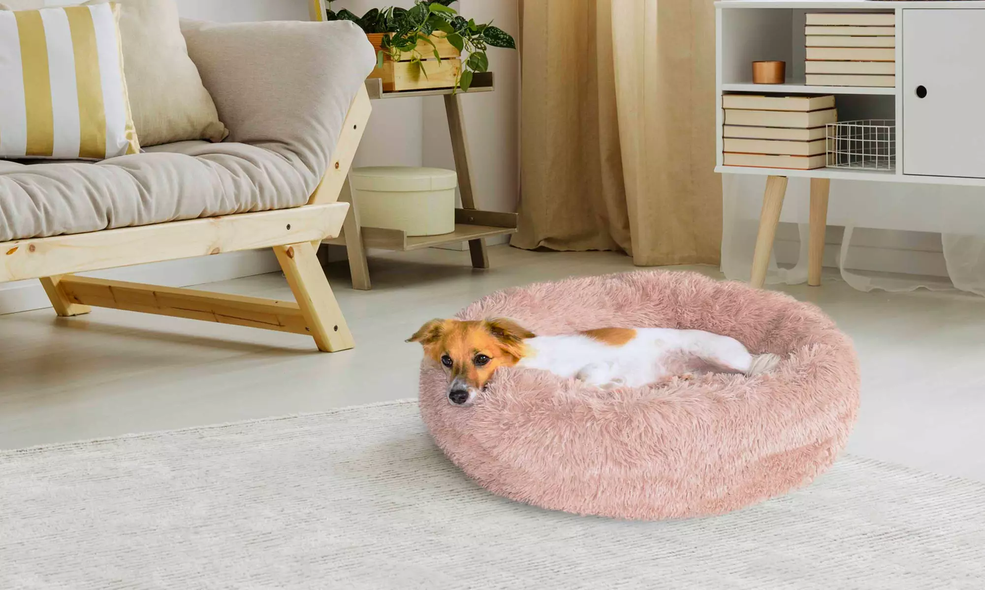 1 o 2 camas para mascotas - Primary Image