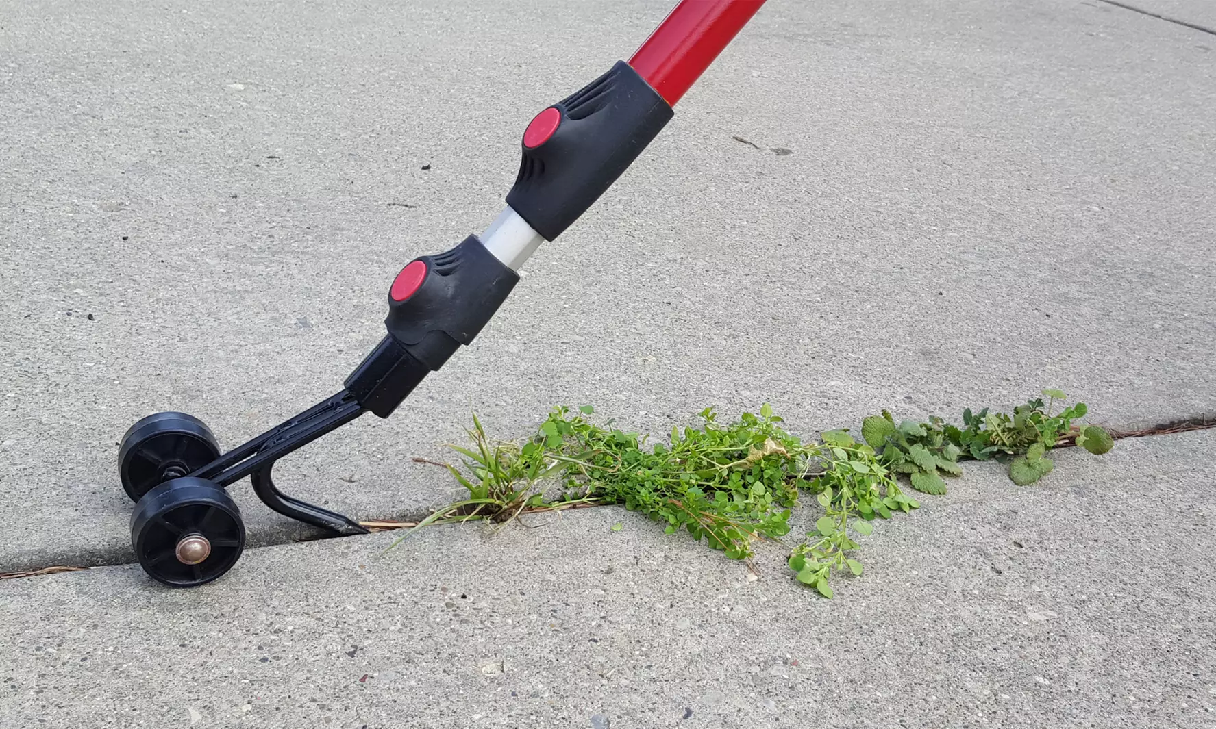 The Ultimate Weed Snatcher - Primary Image