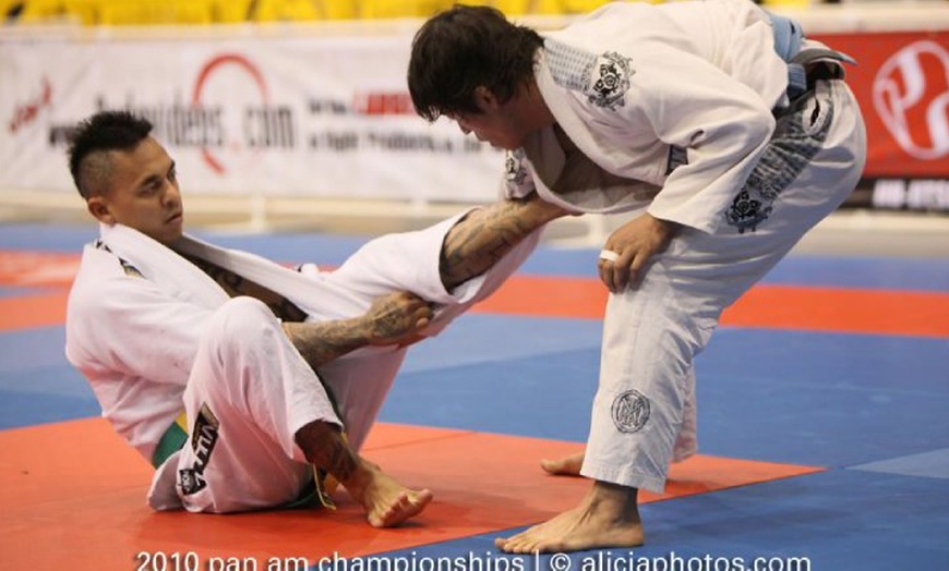 Martial Arts - Vills Bros BJJ | Groupon