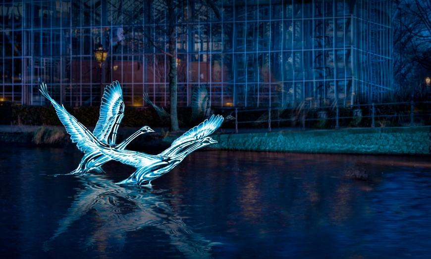 Image 6: De grachten in nieuw licht: rondvaart door Amsterdam Light Festival