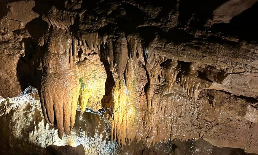 Indiana Caverns in - Corydon, IN | Groupon