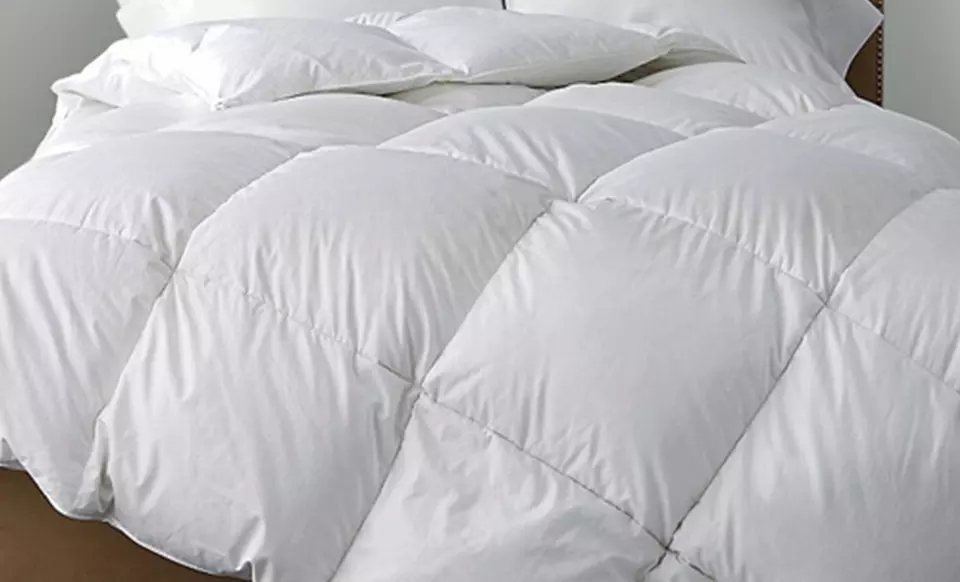 Hotel New York 800 Thread Count Cotton 3-Piece Queen Comforter Set - Primary Image