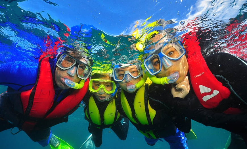 Image 7: Cairns & Green Island: 4 Nights of Sun, Sea, and Snorkeling