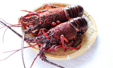 三重　全室オーシャンビュー/夕食は名物伊勢エビなど/1泊2食