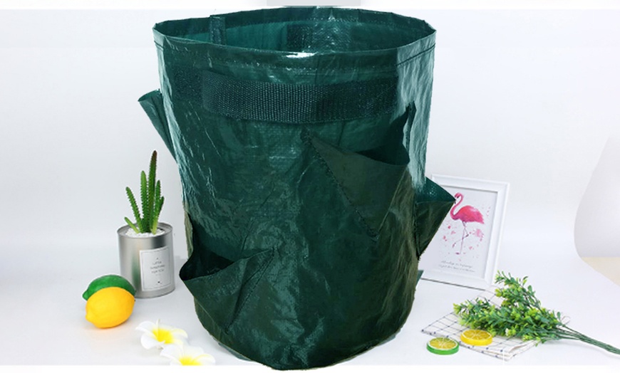 Image 3: Heavy Duty Plant Bag