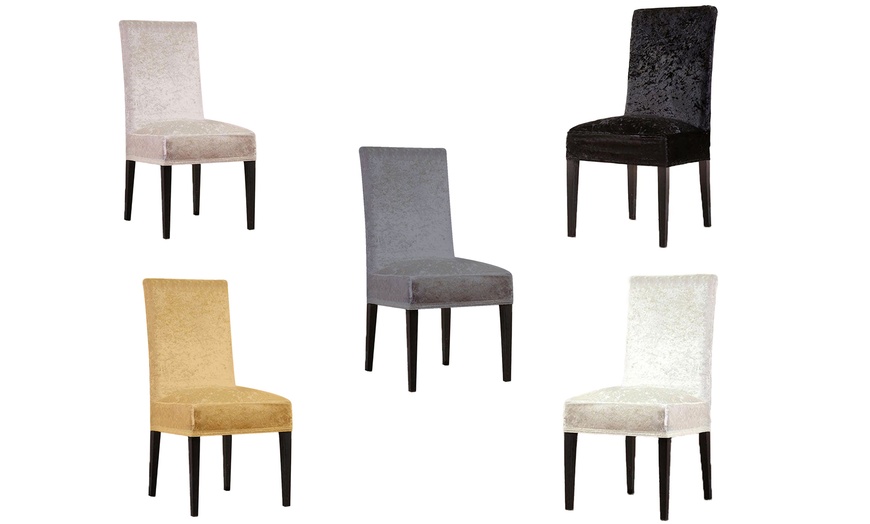 Image 1: Stretch Velvet Chair Covers