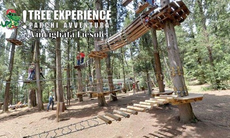 Parco Avventura Tree Experience di Vincigliata: intera giornata per adulti e bambini (sconto fino a 54%)